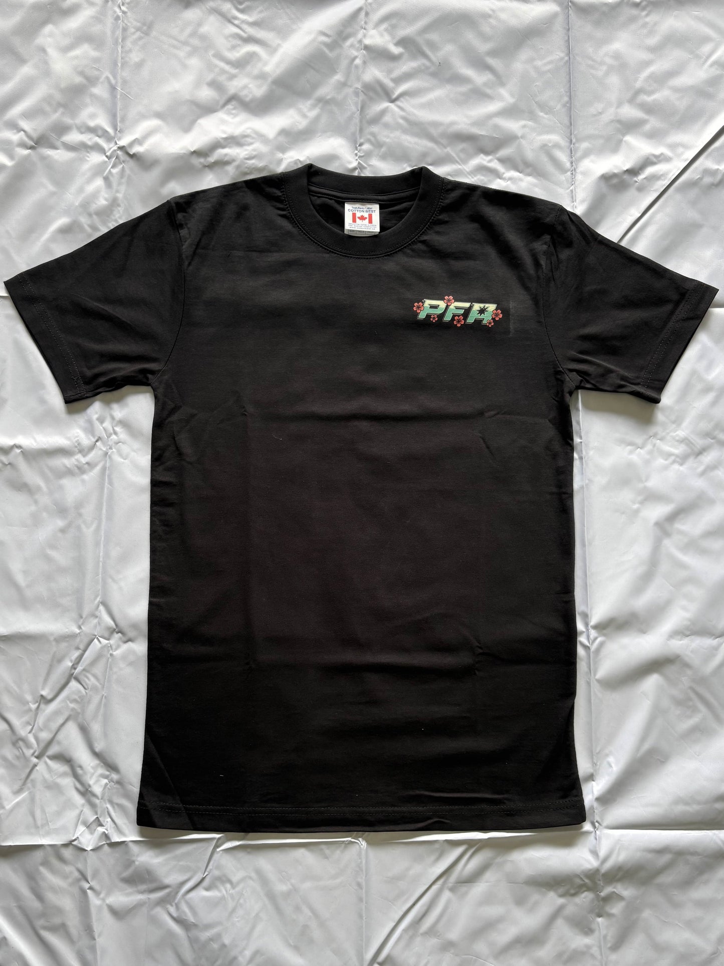 Mount Fuji Dream - Tee PFA Apparel